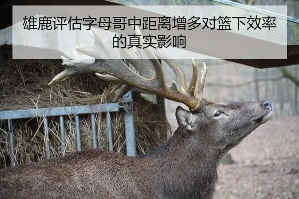 雄鹿评估字母哥中距离增多对篮下效率的真实影响